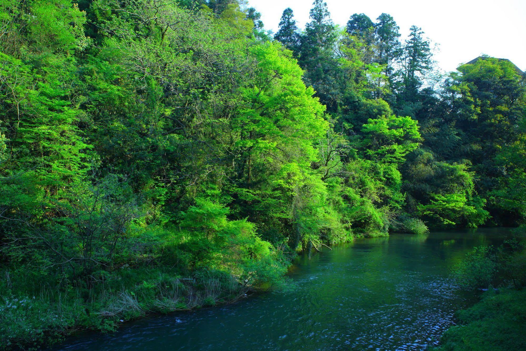 Yamanakaonsen Ohanami Kyubei Kaga  Extérieur photo